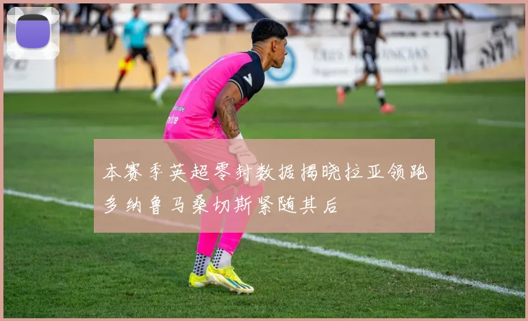 本赛季英超零封数据揭晓拉亚领跑多纳鲁马桑切斯紧随其后