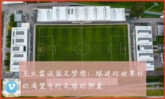 王大雷谈国足梦想：球迷对世界杯的渴望与对足球的热爱