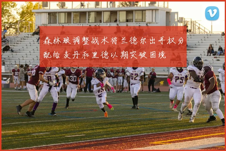 森林狼调整战术将兰德尔出手权分配给麦丹和里德以期突破困境